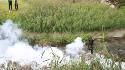 Kocaeli'de sinekle mücadele dört mevsim hız kesmiyor