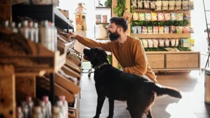 Köpek ve kedi sahipleri sürdürülebilir diyetlere daha açık