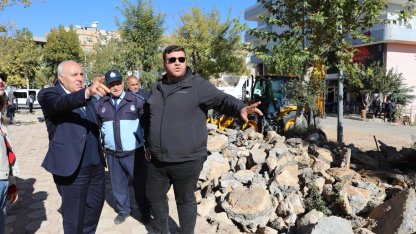 Mardin Yeşilli’de büyük dönüşüm... 50 bin ağaçlık yeşil hamle