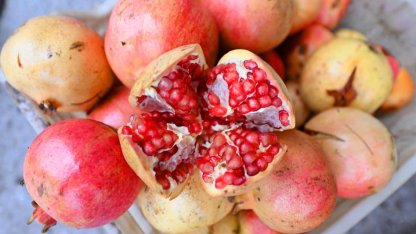 Mersin'de üreticilere nar taneleme ve sıkma makinesi desteği