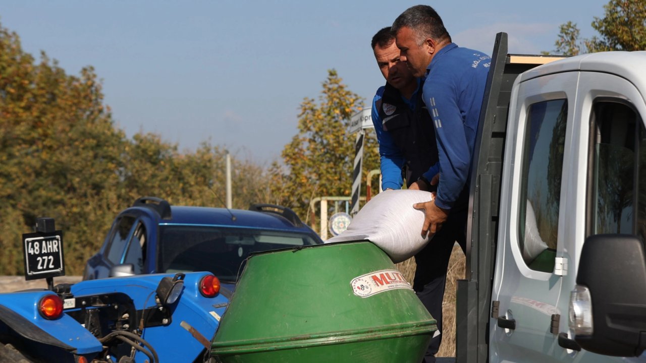Muğla Büyükşehir&#039;den kaba yem üretimi