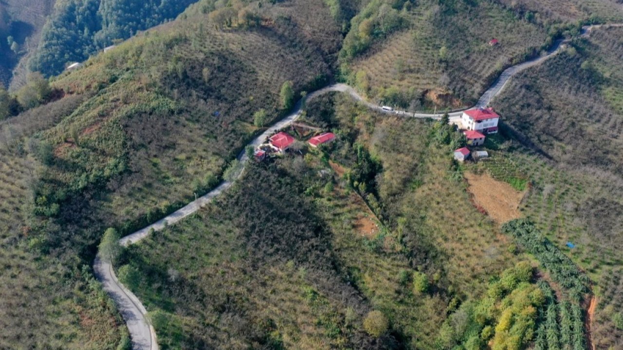 Ordu Tepeköy’de asfalt sevinci