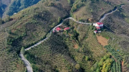 Ordu Tepeköy’de asfalt sevinci