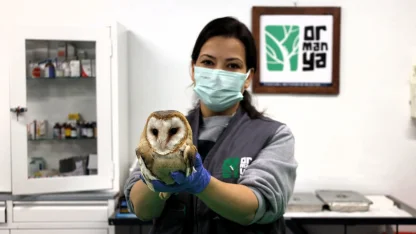 Ormanya yaban hayvanlarına umut oluyor