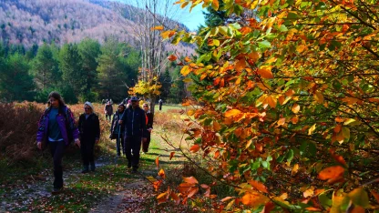 Sakarya’da doğa yürüyüşlerinde sonbahar coşkusu