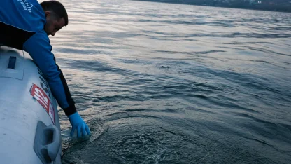 Sapanca Gölü’ndeki su kabarcıkları endişelendirdi! Herhangi bir olumsuzluk yok!
