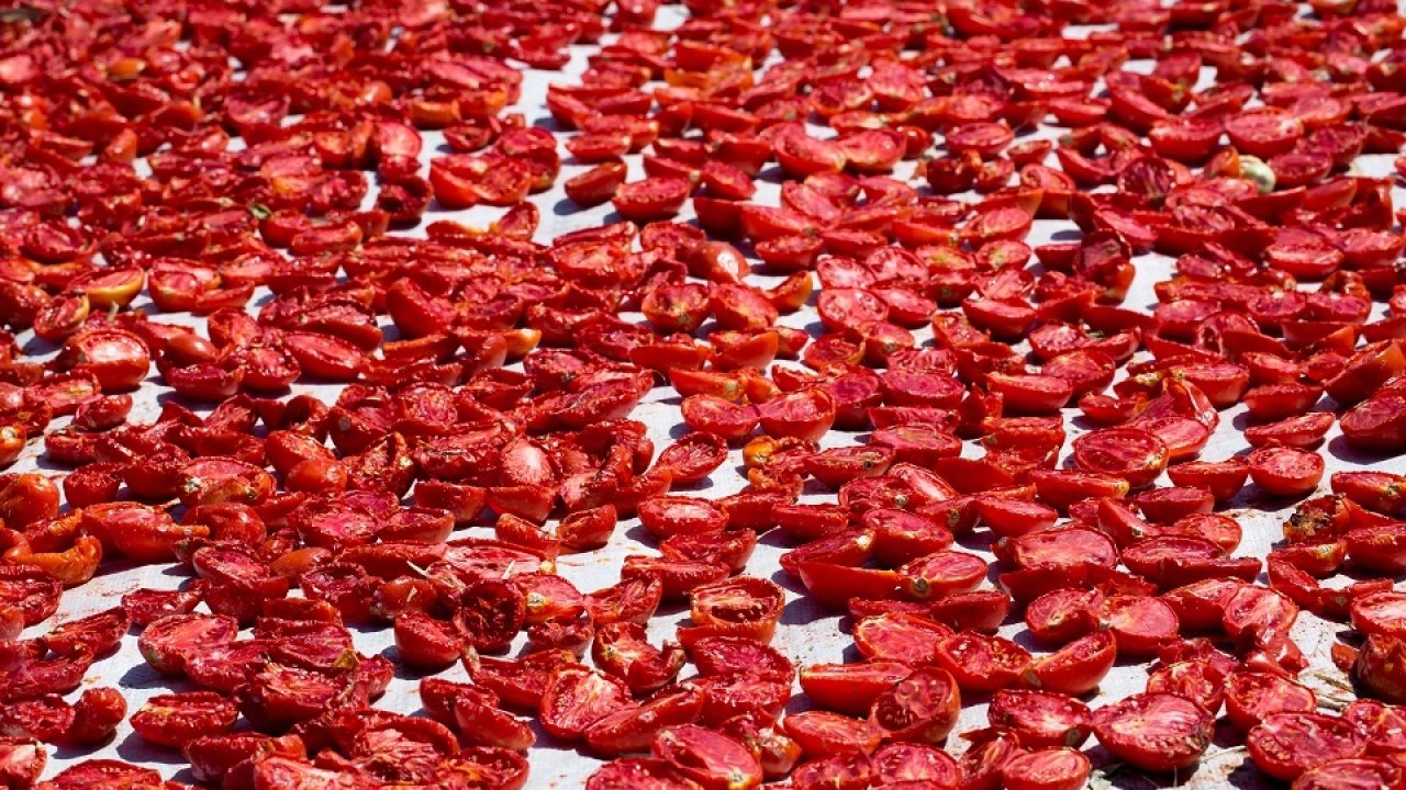 Şifa deposu kuru domates ihracatta dünya ikincisi