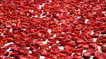 Şifa deposu kuru domates ihracatta dünya ikincisi