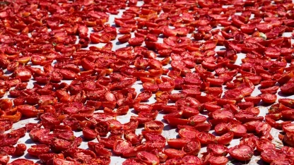 Şifa deposu kuru domates ihracatta dünya ikincisi