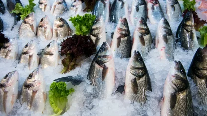 Su ürünleri ihracatının yüzde 47’si Ege'den yapıldı