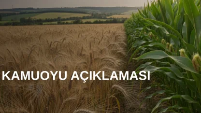 TMO’dan arpa ve mısır kontenjanlarıyla ilgili açıklama