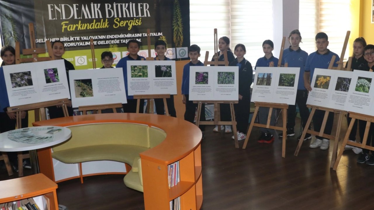 Yalova&#039;da 29 endemik bitki geleceğe aktarılıyor