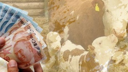 1,46 milyar TL tarımsal destek hesaplarda