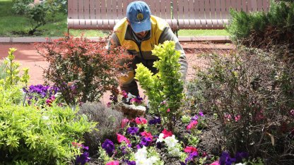 Ankara Keçiören’de seradan parklara uzanan yeşil yolculuk