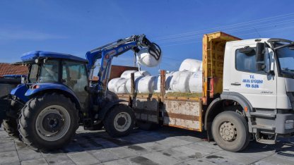 Ankara’da hayvan yetiştiricilerine silaj desteği