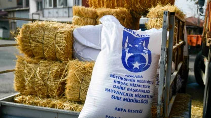Ankara'da mandacılara yüzde yüz hibeli yem desteği