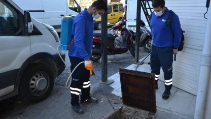 Antalya'da vektörel mücadele çalışmaları sürüyor