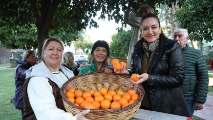 Antalya’nın turunçları kadın emeğiyle sofralara uzanıyor