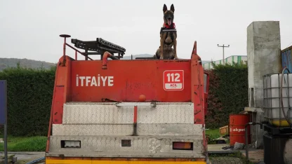Balıkesir İtfaiyesi’nin yeni kahramanı: K9 köpeği İda