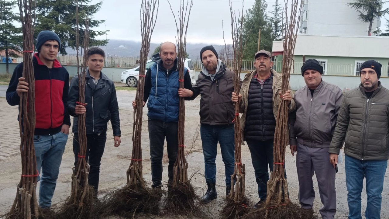 Bilecik Pazaryeri’nde 450 meyve fidanı çiftçilerle buluştu