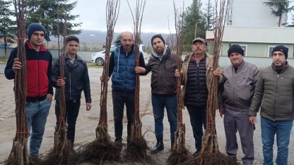 Bilecik Pazaryeri’nde 450 meyve fidanı çiftçilerle buluştu