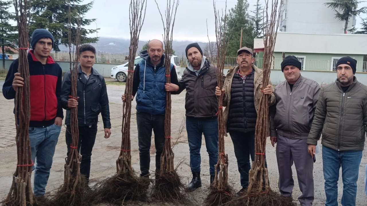 Bilecik Pazaryeri’nde meyveciliğe güçlü destek