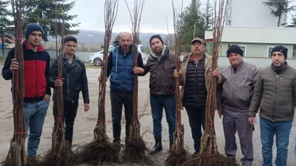 Bilecik Pazaryeri’nde meyveciliğe güçlü destek