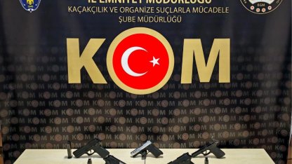 Bilecik'te kaçak silah operasyonu