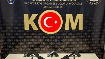 Bilecik'te kaçak silah operasyonu