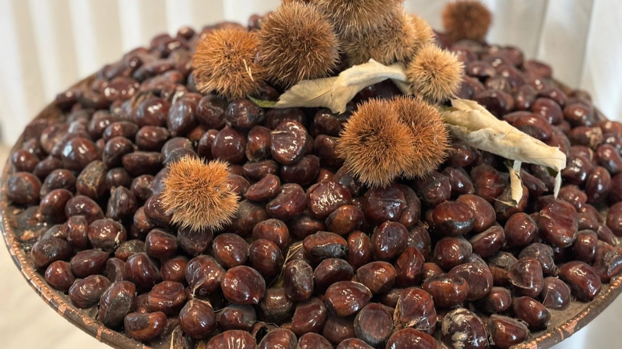 &#039;Bursa Kestanesi&#039;nin geleceği masaya yatırıldı