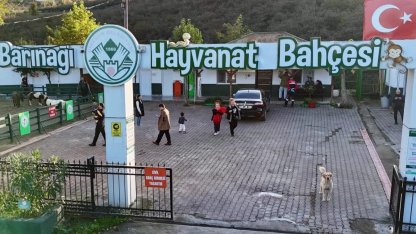 Giresun Hayvan Barınağı 2025’e damga vurdu