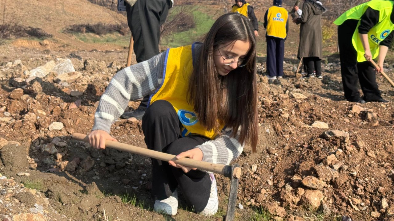 Gürsu&#039;da yanan ormanlar yeniden yeşeriyor... 15 bin fidan toprakla buluştu