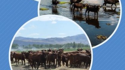 Halk elinde ıslaha 2,7 milyar TL destek