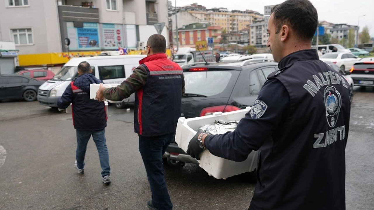 İstanbul Maltepe&#039;de balık denetimi