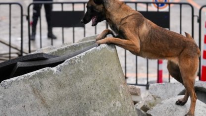 İstanbul Maltepe’nin Zeyna’sı artık ekibin bir parçası