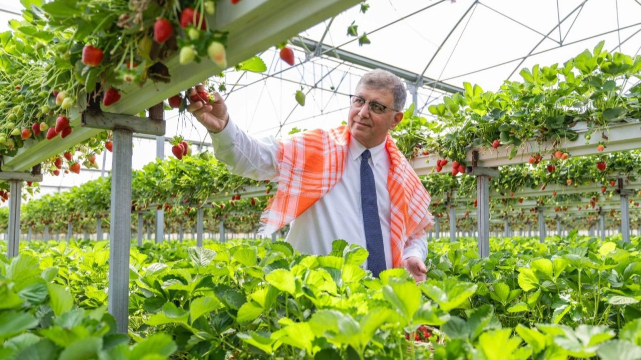 İzmir Büyükşehir’den çiftçiye 550 milyon TL'lik nefes