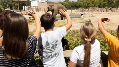 İzmir Doğal Yaşam Parkı’nın fillerine hayat kurtaran ayak bakımı