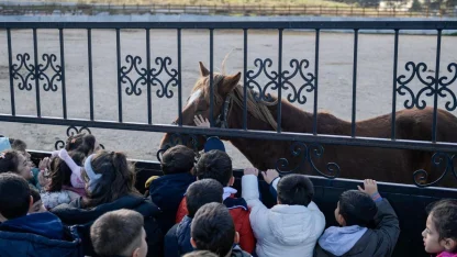 İzmirli çocuklara hayvan sevgisi kazandırılıyor