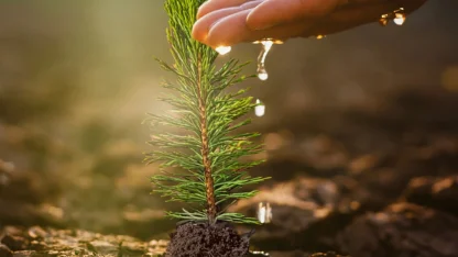 İzocam, 60. Yıl Hatıra Ormanı'nı oluşturuyor