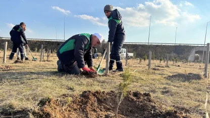 Kayseri Büyükşehir'den kentin yeşil alan varlığına destek