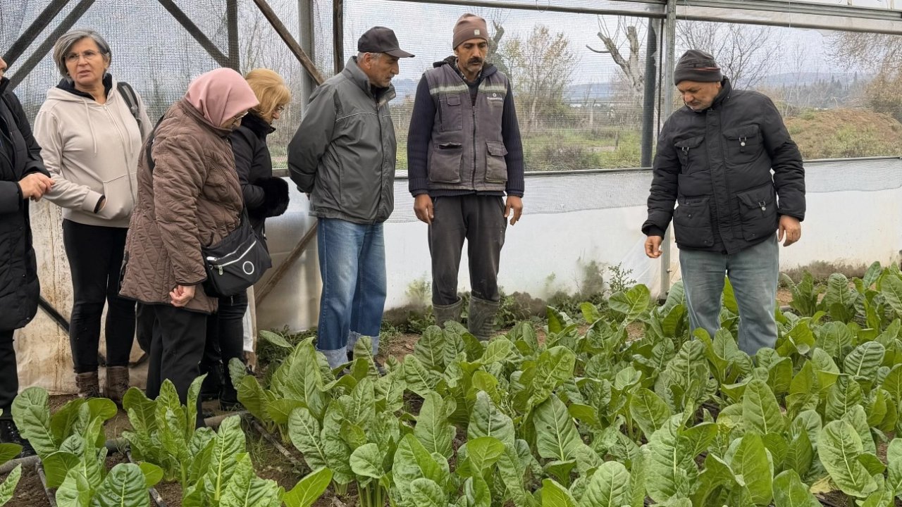 Kocaeli’de 65 yaş üstü bireyler tarımsal üretime katıldı
