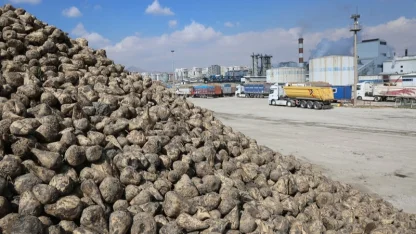 Konya Pancar Ekicileri bu yıl verimden memnun