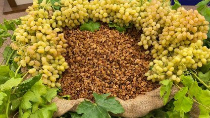 Kuru meyve sektörü 2025'i değerlendirdi