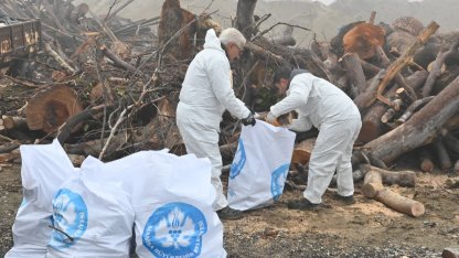 Manisa'da ihtiyaç sahiplerine odun desteği