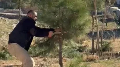 Mardin Artuklu'da muhtar kendi elleriyle ağaçları budadı