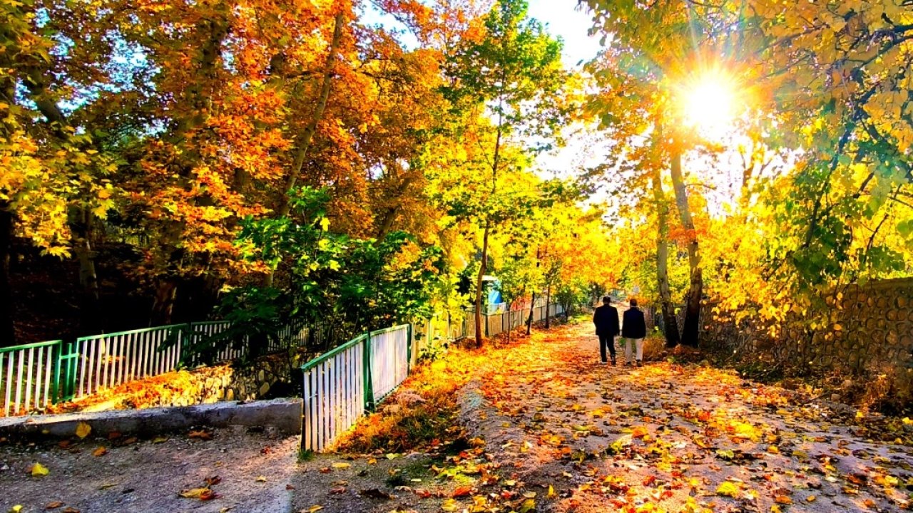 Mardin Yeşilli&#039;de sonbahar büyüsü (Özel Haber)