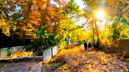 Mardin Yeşilli'de sonbahar büyüsü (Özel Haber)