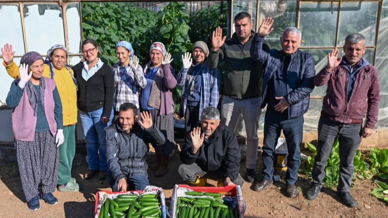 Mersin Aydıncık’ta üreticiler ilk hasadı yaptı