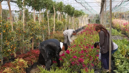 Muğla'dan yerel kalkınmaya 'Büyük' katkı