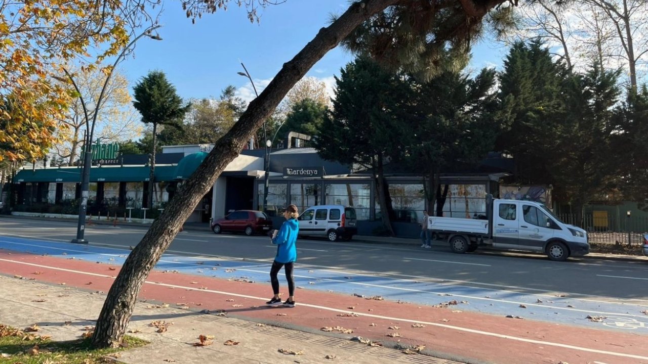 Ordu’da tehlike arz eden ağaçlar için güvenlik çalışması